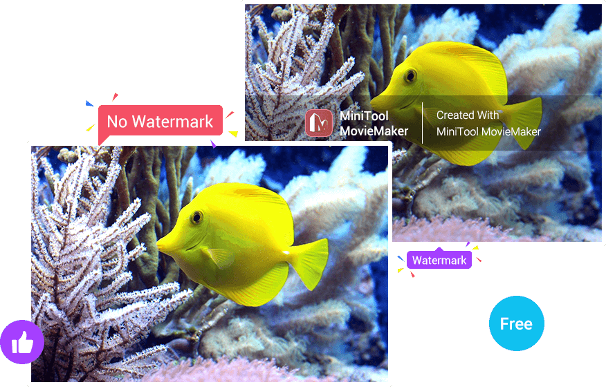 4K/1080P-Videos ohne Wasserzeichen exportieren