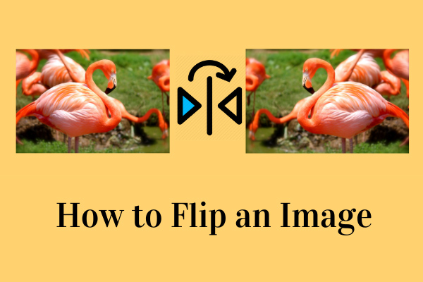 How to Flip an Image – 4 Useful Tips