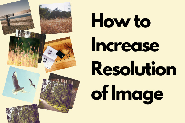 How to Increase Resolution of Image + 5 Online Photo Enhancers