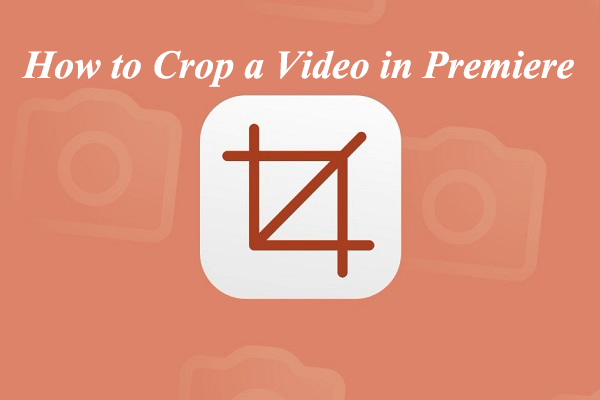 how-to-crop-a-video-in-premiere-a-step-by-step-guide-minitool