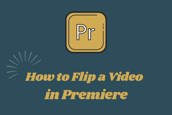 How to Flip a Video in Premiere | Step-By-Step Guide