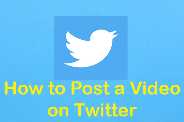 Solved – How to Post a Video on Twitter