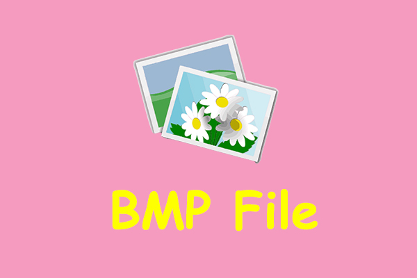 BMP File: What Is a BMP File & How to Open & Convert It