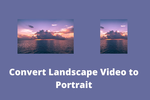 Top 3 Methods to Convert Landscape Video to Portrait - MiniTool MovieMaker