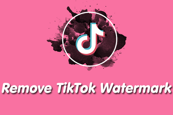 How to Download TikTok Story Without Watermark (7 Easy Methods)