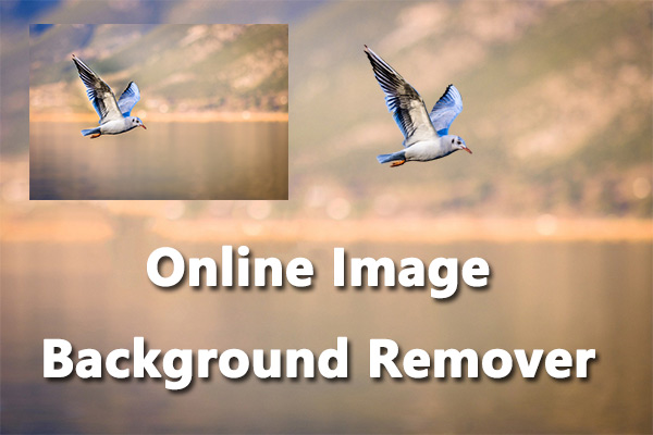 Online Image Background Remover