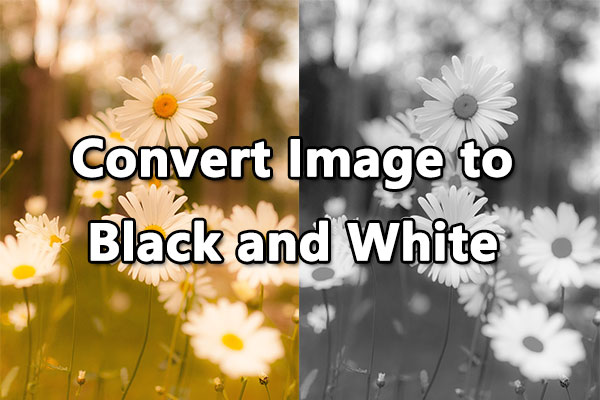 How to Convert Image to Black and White in Photoshop & GIMP