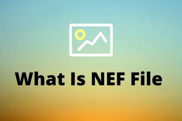 What Is an NEF File and How to Open It? - MiniTool MovieMaker