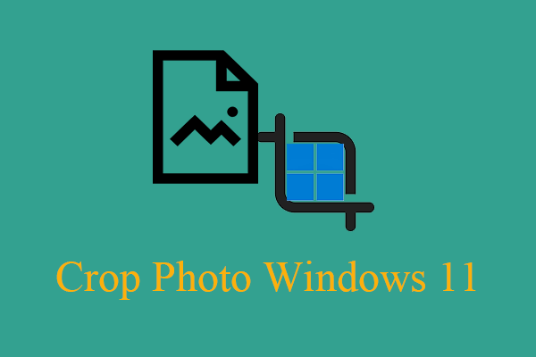 Crop Photo Windows 11 by MovieMaker, Photos, Paint, Snipping Tool…