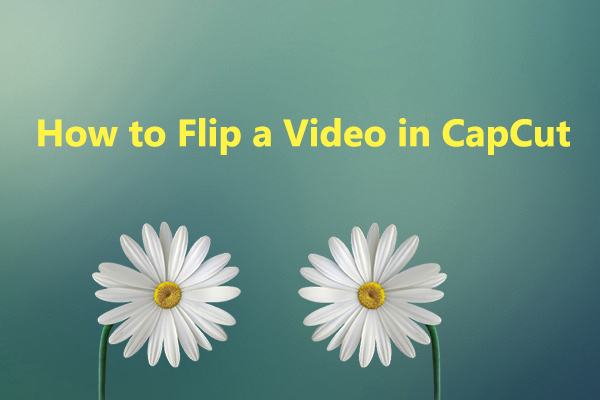 How To Flip A Video In Capcut