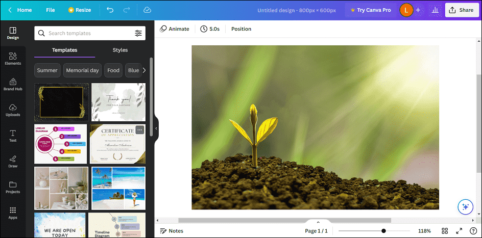 Best Free Photo Editor for Mac 2023