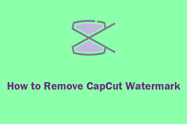 A Guide on How to Remove CapCut Watermark Easily