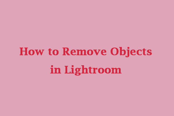 Step-by-Step Guide: How to Remove Objects in Lightroom