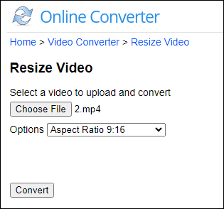 TikTok to MP4, Easy Online Converter