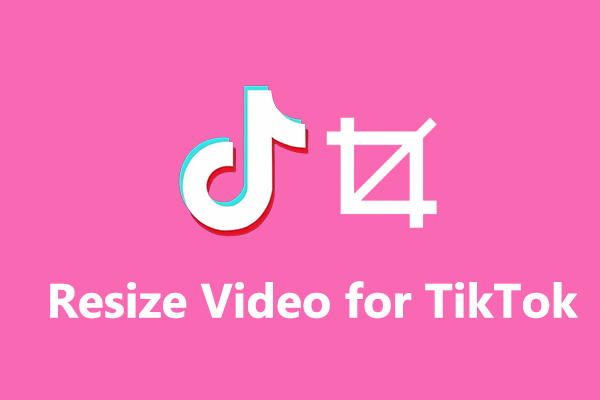 How to Resize Video for TikTok on Windows/Mac/Android/iOS/Online