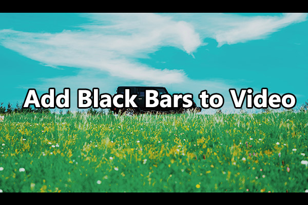 How to Add Cinematic Black Bars to Video: 7 Methods
