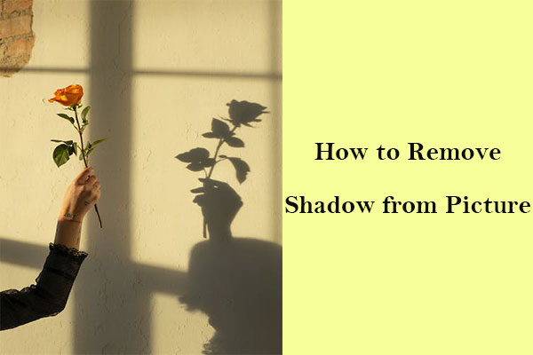 No More Shadows: How to Remove Shadow from Picture