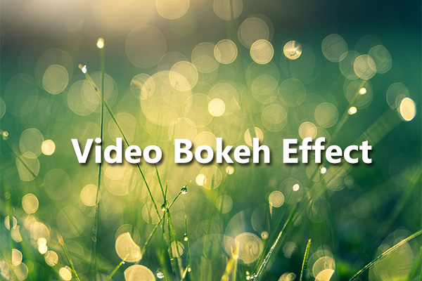 video bokeh effect film bokeh photoshop download