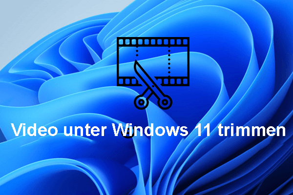 windows 8 media player download