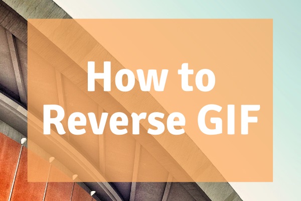 How to Reverse GIF 4 Solutions
