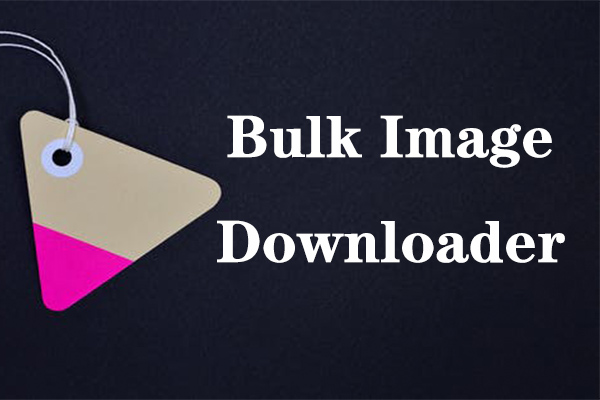 Bulk Image Downloader 6.35 free instals