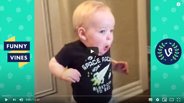 Top 5 Funny Videos In 2020 And How To Make Funny Videos