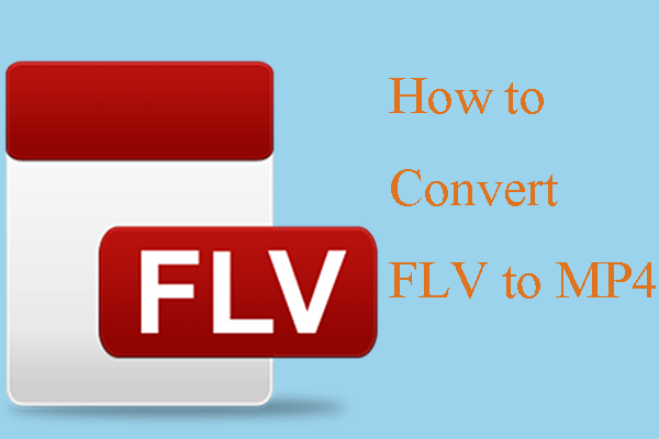 .flv video converter