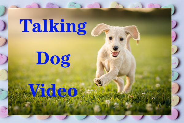 Talking Dog Video – How to Make a Talking Dog Video by Yourself