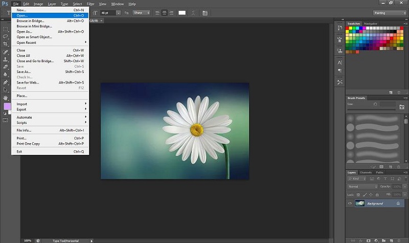 adobe lightroom vs adobe photoshop