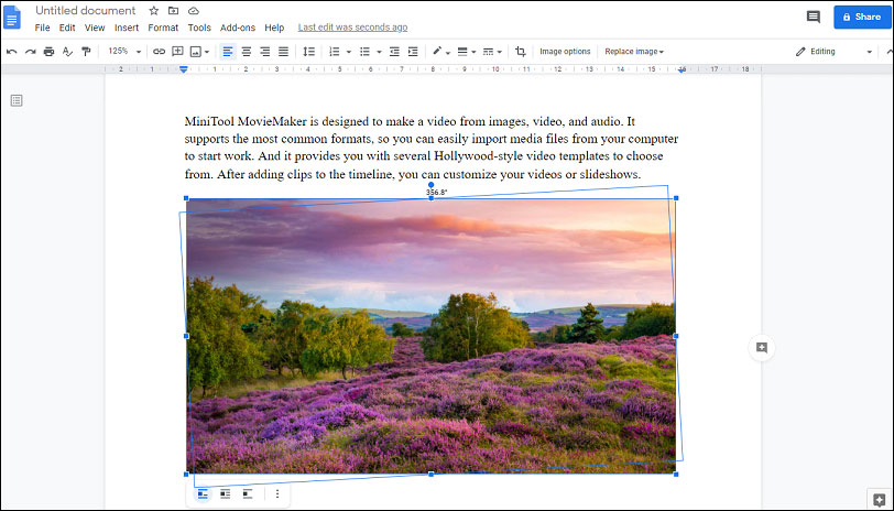 solved-how-to-rotate-image-in-google-docs-minitool-moviemaker