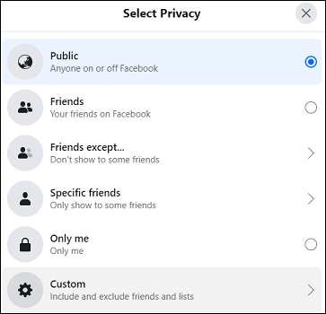the Select Privacy dialog
