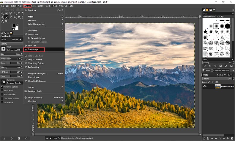 gimp how to resize image