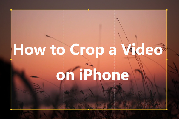 how to crop a video on iphone