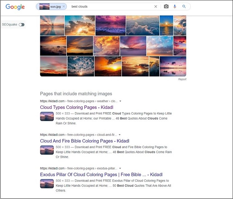 Reverse Image Search: How to Find Image Source for Free - MiniTool ...