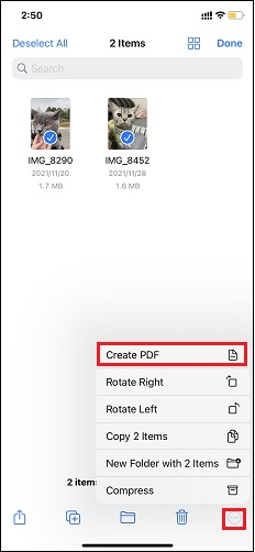 Create PDF for multiple pictures
