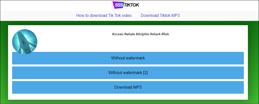 download MP3 from TikTok online