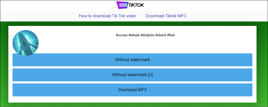 Download TikTok MP3 Online - TikTok to MP3 Converter