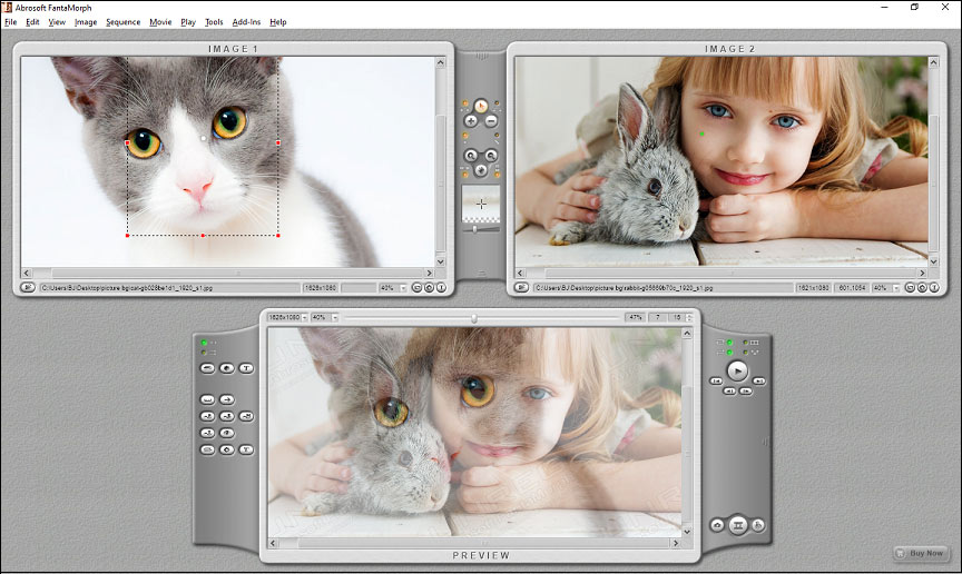 photo morphing software