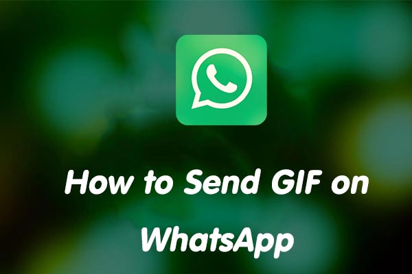 The Ultimate Guide on How to Send GIF on WhatsApp