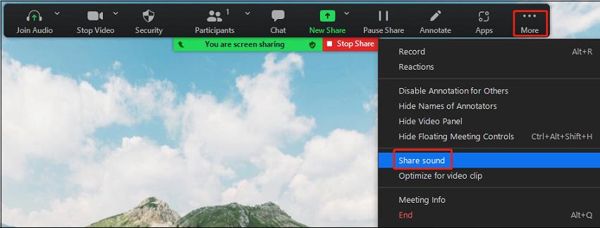 Solved - How to Share Audio on Zoom & How to Play Music on Zoom