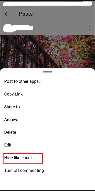 hide like count on a published post