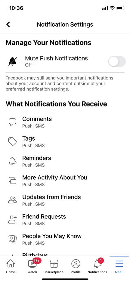 Facebook mute push notifications on iPhone