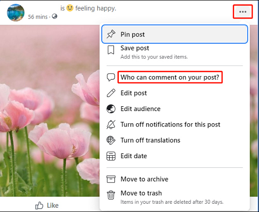 choose Who can comment on your post