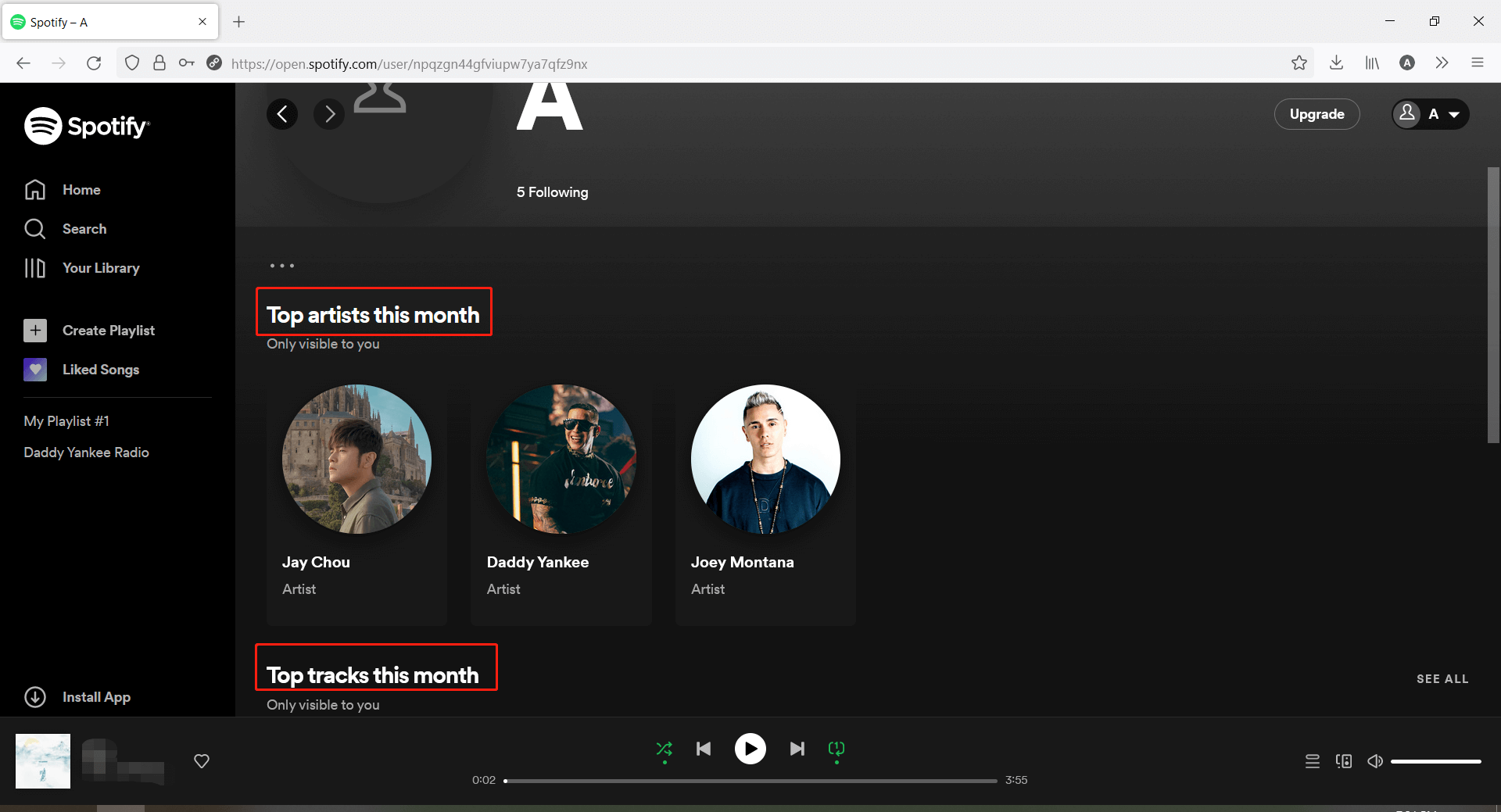 see your top artists and tracks this month