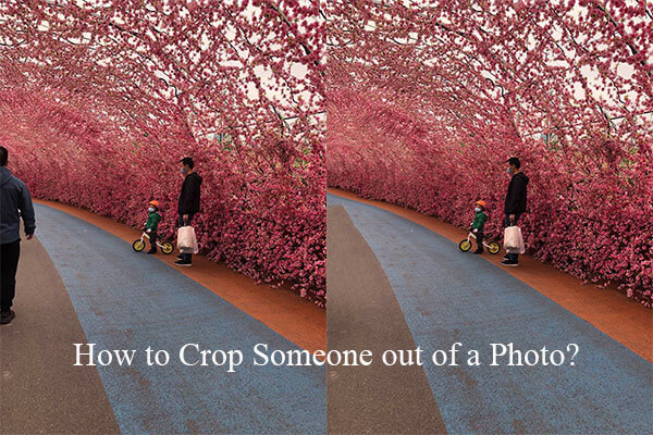 [2 Ways] How to Crop Someone out of a Photo by Photoshop/Fotor?