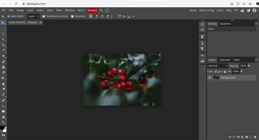 How to Edit PNG Images Online and Make them More Popular？