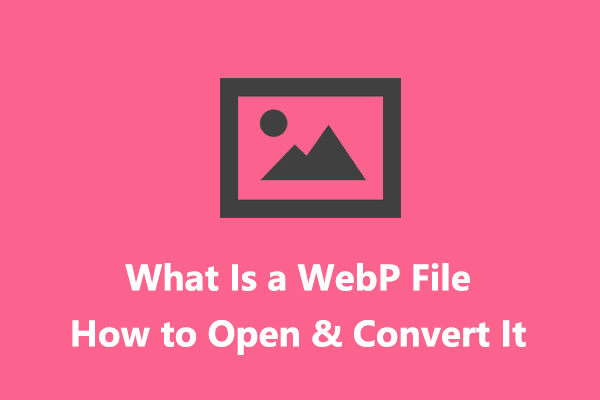 what-is-a-webp-file-and-how-to-open-convert-webp-files-solved