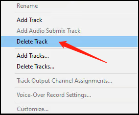 View of How to Add or Delete Audio Tracks in Premiere Pro? - MiniTool MovieMaker